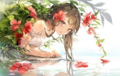 Adob​​e拔掉Fla亿恒彩票app下载sh插件，结束时代
